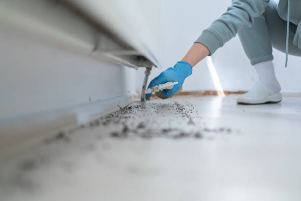 Best Pest Removal Services  in Coldstream, OH